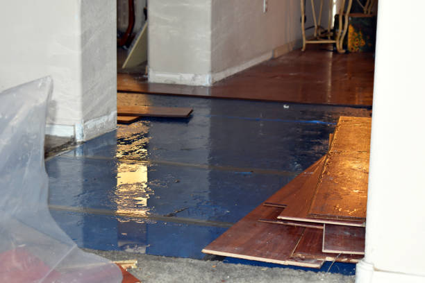 Professional Water Extraction technician working in Goodells, MI